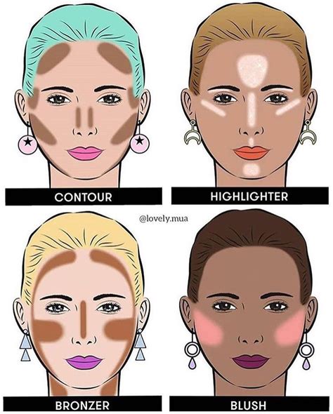 highlighter vs bronzer blush.